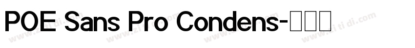 POE Sans Pro Condens字体转换